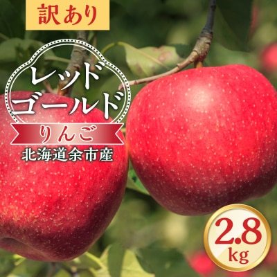 【先行受付:10月中旬より発送】訳アリ りんご(レッドゴールド)2.8kg_Y103-0084