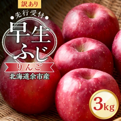 【先行受付:2025年10月中旬より発送】訳アリ りんご(早生ふじ)3kg_Y103-0038