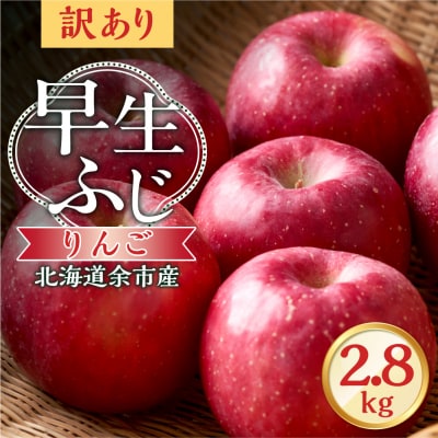 【先行受付:2026年10月中旬より発送】訳アリ りんご(早生ふじ)2.8kg_Y103-0091