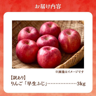 【先行受付:2025年10月中旬より発送】訳アリ りんご(早生ふじ)3kg_Y103-0038