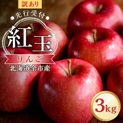 【先行受付:2025年10月中旬より発送】訳アリ りんご(紅玉)3kg_Y103-0039