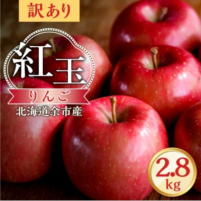 【先行受付:2026年10月中旬より発送】訳アリ りんご(紅玉)2.8kg_Y103-0081