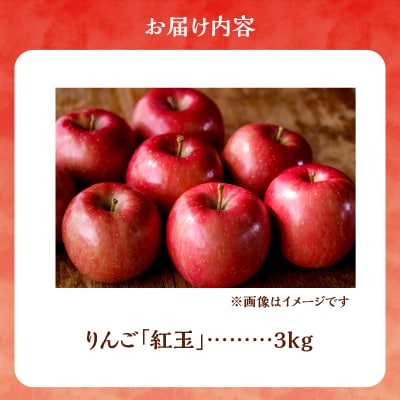 【先行受付:2025年10月中旬より発送】訳アリ りんご(紅玉)3kg_Y103-0039