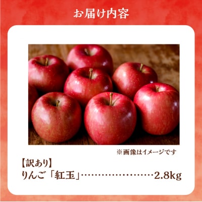【先行受付:2026年10月中旬より発送】訳アリ りんご(紅玉)2.8kg_Y103-0081