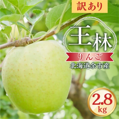 【先行受付:2026年10月下旬より発送】訳アリ りんご(王林)2.8kg_Y103-0078