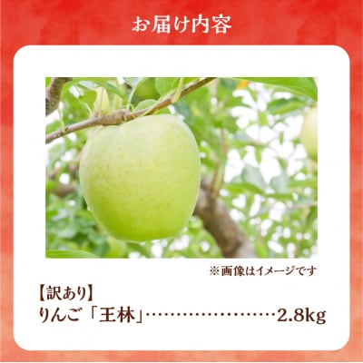 【先行受付:2026年10月下旬より発送】訳アリ りんご(王林)2.8kg_Y103-0078
