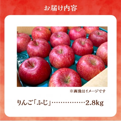 【先行受付:2026年12月上旬より発送】りんご(ふじ)2.8kg_Y103-0076