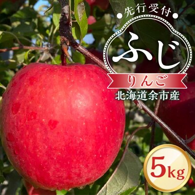 【先行受付:2026年12月上旬より発送】りんご(ふじ)5kg_Y103-0075