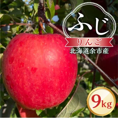 【先行受付:2026年12月上旬より発送】りんご(ふじ)9kg_Y103-0074