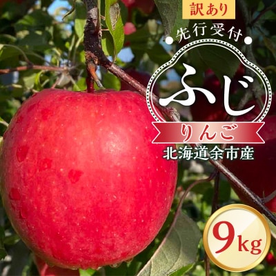 【先行受付:2025年11月上旬より発送】訳アリ りんご(ふじ)9kg_Y103-0049