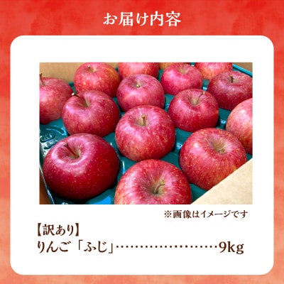 【先行受付:2025年11月上旬より発送】訳アリ りんご(ふじ)9kg_Y103-0049