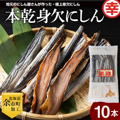 【北海道余市町加工】伝統の本乾みがきにしん10本セット_Y004-0060 