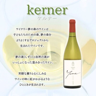 【数量限定】余市「ワイナリー夢の森」ケルナー2023 750ml_Y034-0111