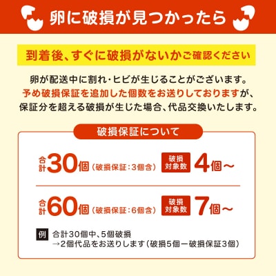 むらかみ農園の赤玉たまご30個_Y140-0001