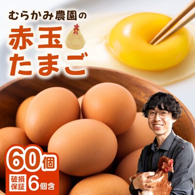 むらかみ農園の赤玉たまご60個_Y140-0002