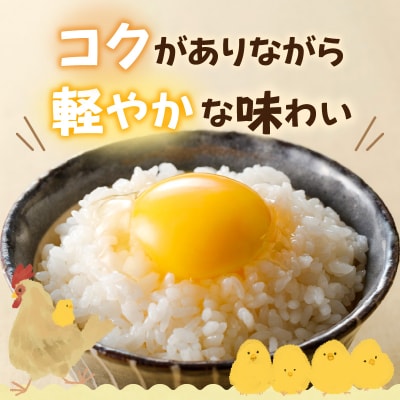 むらかみ農園の赤玉たまご60個_Y140-0002