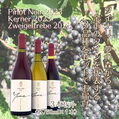 【数量限定】余市「ワイナリー夢の森」ワイン3本セット_Y034-0112