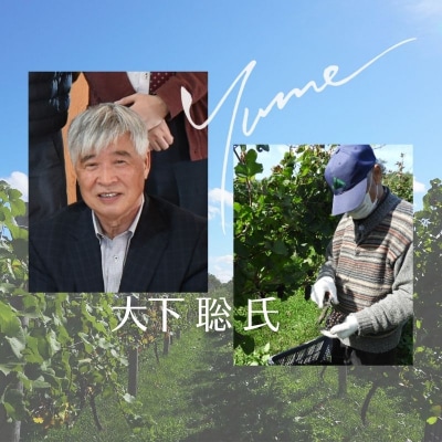 【数量限定】余市「ワイナリー夢の森」ワイン3本セット_Y034-0112