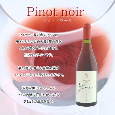 【数量限定】余市「ワイナリー夢の森」ピノ・ノワール2023&ロゴ入りワイングラス_Y034-0113