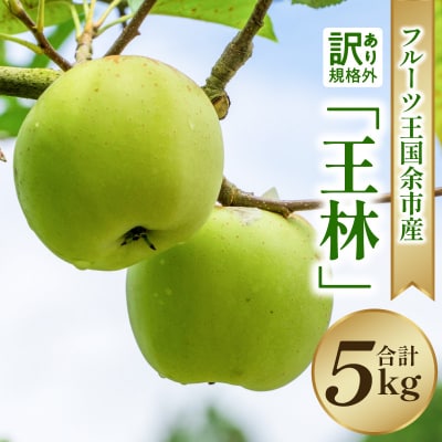 【2025年11月下旬より発送】フルーツ王国余市産訳あり「王林」5kg_Y074-0158