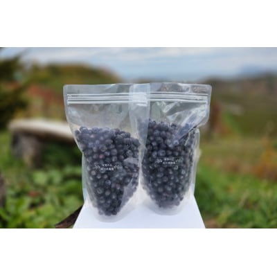 余市の砂川果樹園が贈る 訳あり冷凍ブルーベリー1Kg_Y033-0037