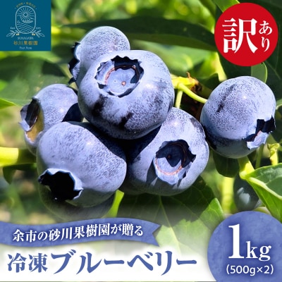 余市の砂川果樹園が贈る 訳あり冷凍ブルーベリー1Kg_Y033-0042