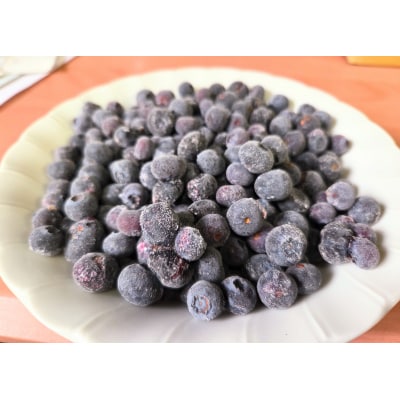 余市の砂川果樹園が贈る 訳あり冷凍ブルーベリー1Kg_Y033-0037