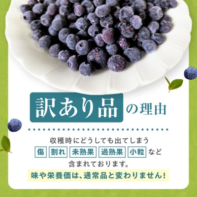 余市の砂川果樹園が贈る 訳あり冷凍ブルーベリー1Kg_Y033-0042