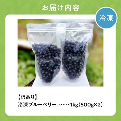 余市の砂川果樹園が贈る 訳あり冷凍ブルーベリー1Kg_Y033-0042