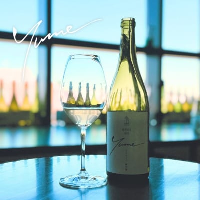 【数量限定】余市「ワイナリー夢の森」ケルナー2023 750ml 《3本セット》_Y034-0120