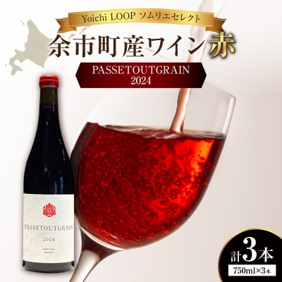 YoichiLOOPソムリエセレクトワインPASSETOUTGRAIN【赤】3本_Y055-0073