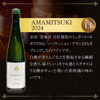 Yoichi LOOP ソムリエセレクトワイン AMAMITSUKI【白】3本_Y055-0074