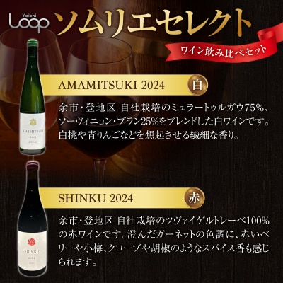 Yoichi LOOP ソムリエセレクト ワイン 2024【赤/白】3本_Y055-0075
