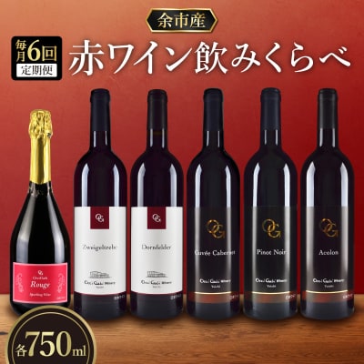 【定期便6回】【OcciGabi Winery】赤ワイン飲みくらべ定期便_Y012-0113