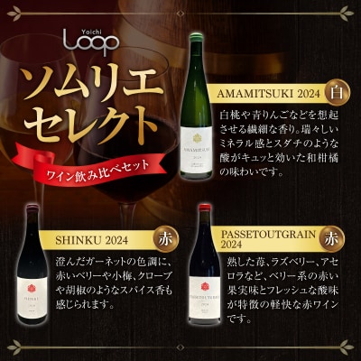 Yoichi LOOP ソムリエセレクト 余市町産ワイン【3種】 6本セット_Y055-0077