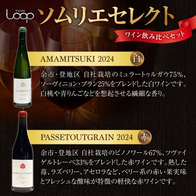 Yoichi LOOP ソムリエセレクト 余市町産ワイン【赤/白】 3本セット_Y055-0079
