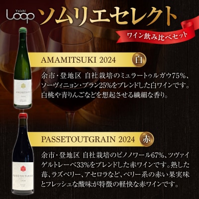 Yoichi LOOP ソムリエセレクト 余市町産ワイン【赤/白】 3本セット_Y055-0079