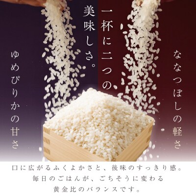 ◇令和7年産◇余市産 特選ブレンド米(精米) 5kg_Y067-0347