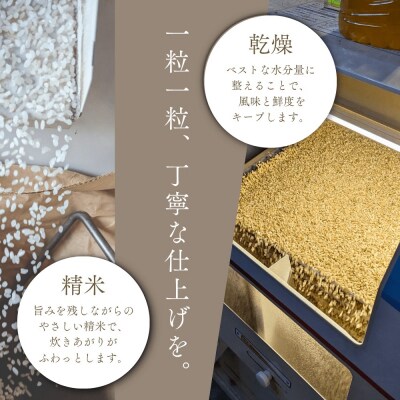 【定期便全6回】◇令和7年産◇余市産 特選ブレンド米(精米) 5kg×6回_Y067-0349