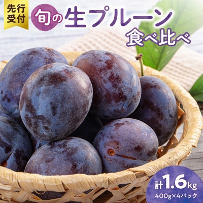 【先行受付】旬の生プルーン 食べ比べ 1.6kg(400g×4パック)_Y153-0001