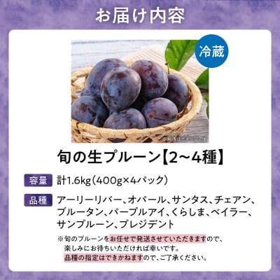 【先行受付】旬の生プルーン 食べ比べ 1.6kg(400g×4パック)_Y153-0001