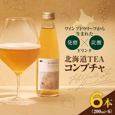 北海道TEAコンブチャ_Y037-0348