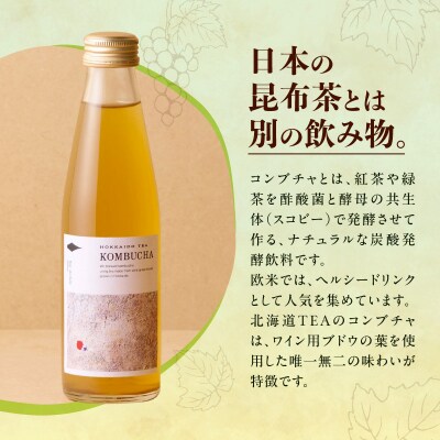 北海道TEAコンブチャ_Y037-0348