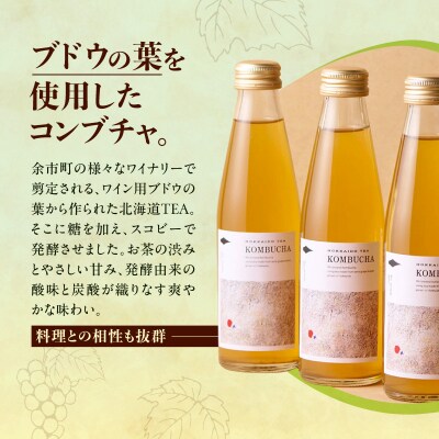 北海道TEAコンブチャ_Y037-0348