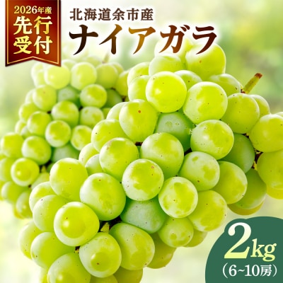 【2026年産 先行受付】ご家庭用 ナイアガラ 2kg(6～10房)_Y103-0066