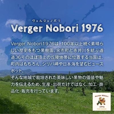 【2026年産 先行受付】ご家庭用 ナイアガラ 2kg(6～10房)_Y103-0066