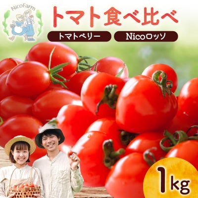 【先行受付7月】ミニトマト2種 各500g トマトベリー & Nicoロッソ_Y124-0020