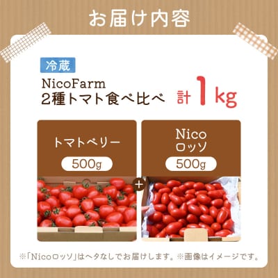 【先行受付7月】ミニトマト2種 各500g トマトベリー & Nicoロッソ_Y124-0020