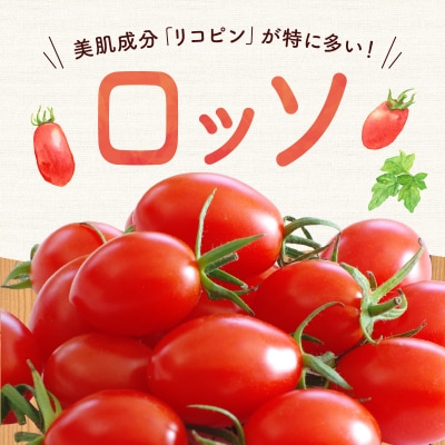 【先行受付7月】ミニトマト2種 各1kg トマトベリー & Nicoロッソ_Y124-0021