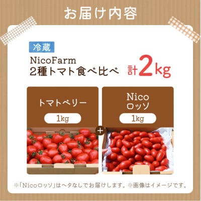 【先行受付7月】ミニトマト2種 各1kg トマトベリー & Nicoロッソ_Y124-0021